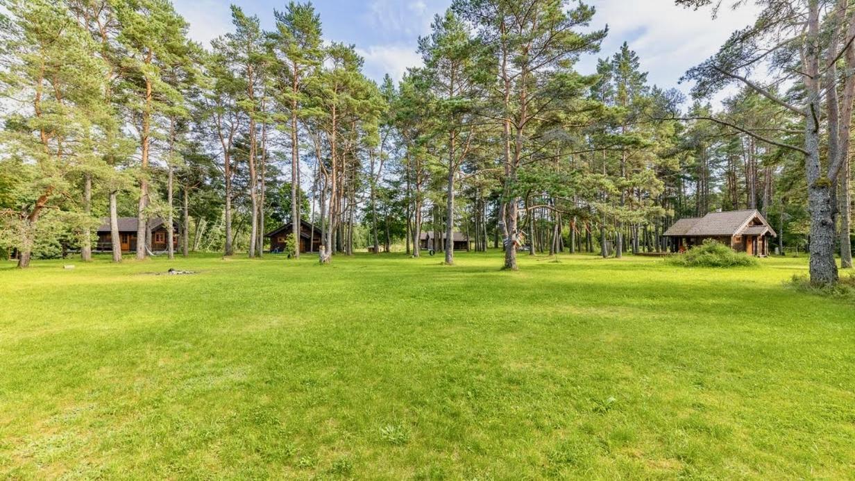 Joeaeaere Puhkekeskus Villa Langa Eksteriør billede